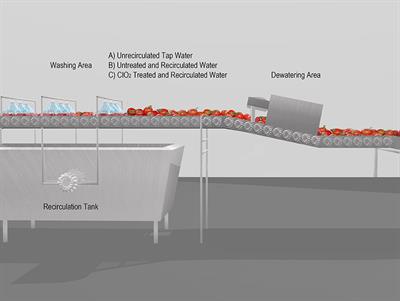 Use of Chlorine Dioxide to Treat Recirculated Process Water in a Commercial Tomato Packinghouse: Microbiological and Chemical Risks